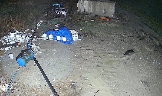 Konya'da domuz sürüsü yerleşim alanına indi