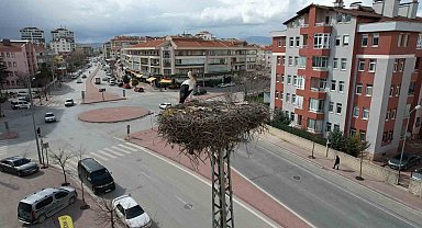 Konya'nın leylekleri direkteki yuvalarına geldi