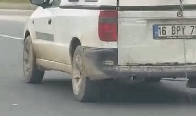 Köpeğin komik anları kamerada