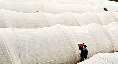 Köprübaşı çileği bu sene de çiftçinin yüzünü güldürdü