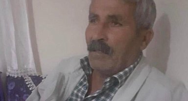 Kovalamaca sonucu yola çıkan inek, sahibini canından etti