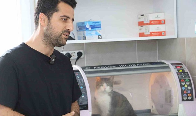 Kral ölümden döndü, zorlu ameliyat başarıyla tamamlandı