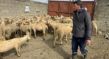 Kurbanlık parasıyla evlenmişti şimdi doğacak bebeği için kullanacak