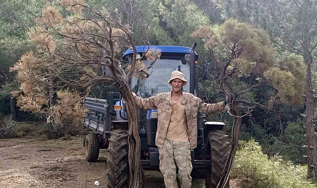 Kuru Geven köylünün gelir kaynağı oldu