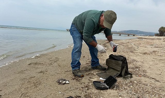 Kuşadası'nda iki deniz kaplumbağası ölü bulundu