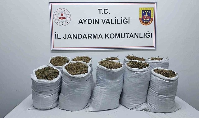 Kuşadası'nda uyuşturucu operasyonu: 2 gözaltı