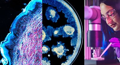 L'Oréal ve Institut Pasteur'den cilt sağlığı biliminde iş birliği