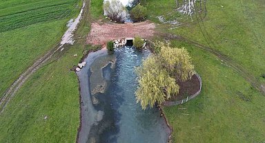 Leyleklerin durağı yemyeşil görüntüsüyle mest ediyor
