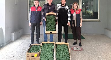 Lüleburgaz'da çiftçiye hıyar fidesi dağıtıldı