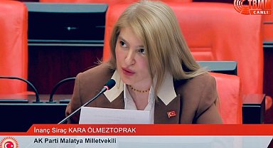 Malatya'nın dolu hasarı ve sanayi yatırımları TBMM gündeminde