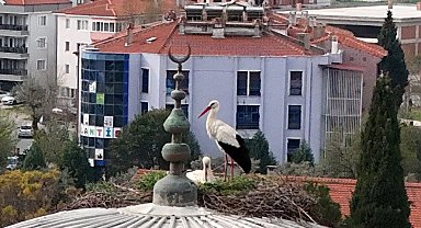 Menteşe'nin sadık misafirleri geldi, 30 yıllık gelenek bozulmadı