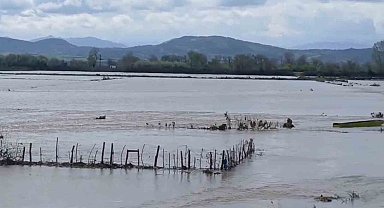Meriç Nehri taştı, sular yollara ulaştı