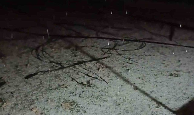 Mersin'de dolu yağışı etkili oldu