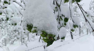 Meteorolojiden Ordu'da zirai don uyarısı