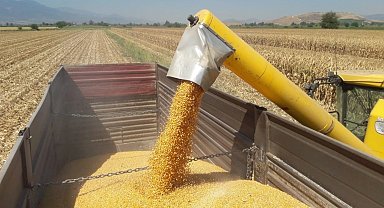 Mısır ithalatına 3 milyon tonluk tarife kontenjanı