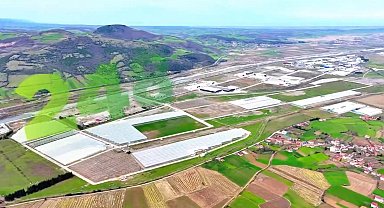 Modern tarımın yeni adresi Bafra: Karadeniz'de başarı hikayesi yazılıyor