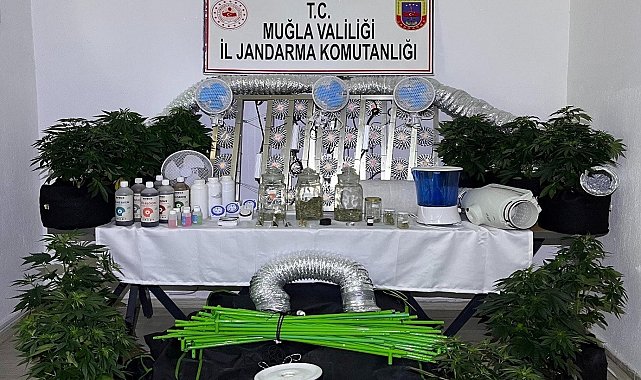 Muğla Jandarmasından zehir tacirlerine Mart ayı darbesi: 173 gözaltı
