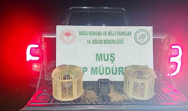 Muş'ta kaçak keklik avına suçüstü: 65 bin TL ceza kesildi