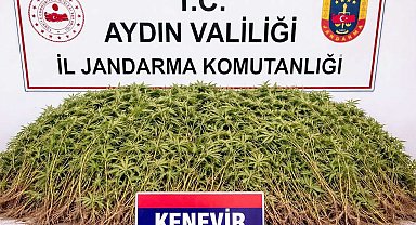 Nazilli'de uyuşturucu operasyonu