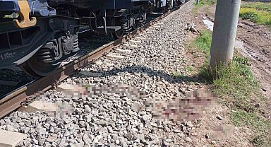 Osmaniye'de yük treninin çarptığı kişi yaralandı