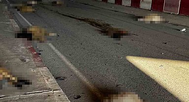 Otomobil sürüye daldı, 17 koyun telef oldu