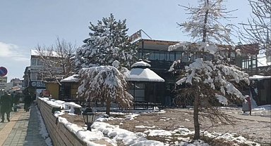 Özalp'ta nisan karı etkili oldu