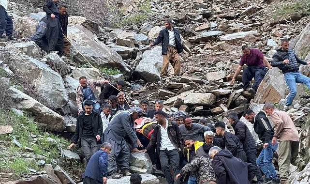 Pancar toplamaya gitti, kayalıklardan düşerek yaralandı