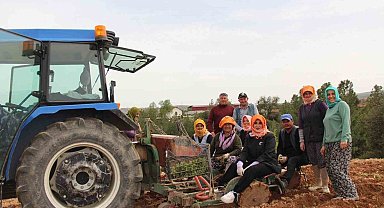 Poşusunu takan Kaymakam Kuran üreticilerle birlikte kekik dikti