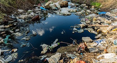 Prof. Dr. Ünüsan'dan mikroplastik uyarısı: Bitki bazlı çözümler umut veriyor ancak...