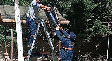 Pursaklar Belediyesi'nden parklarda bakım seferberliği