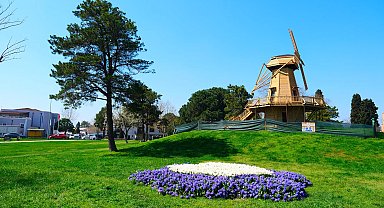 Sakarya'da baharın büyüleyici cümbüşü