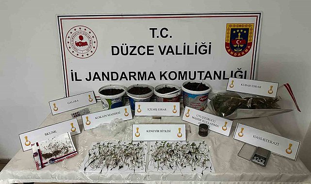 Saksıda kenevir yetiştiren şahıs gözaltına alındı