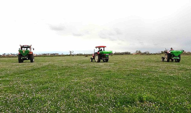 Samsun'da meralarda ıslah çalışmaları sürüyor