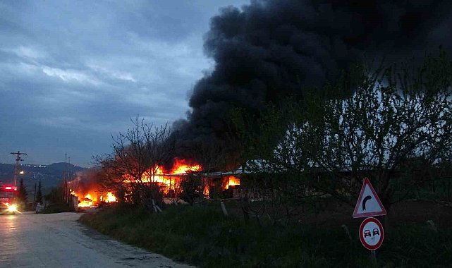 Samsun'da muz deposunda yangın: Ekipler müdahale ediyor