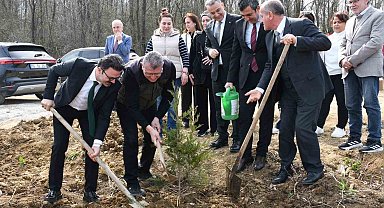 Samsun'da ormanlar ağaçlandırılıyor