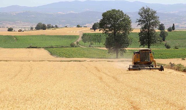 Samsun'da tarım, hayvancılık ve kırsal kalkınmaya 3 milyar TL üzerinde destek