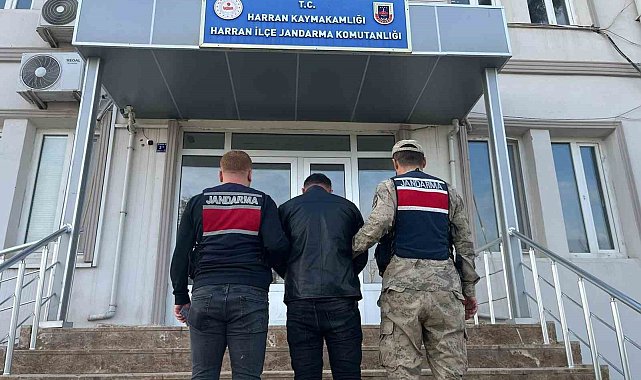 Şanlıurfa'da 13 yıl hapis cezası bulunan hükümlü yakalandı