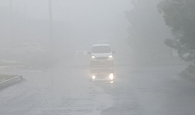 Şanlıurfa'da yoğun sis etkili oldu