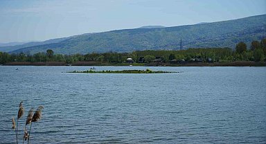 Sapanca Gölü çekildi: Gizemli ada yeniden ortaya çıktı