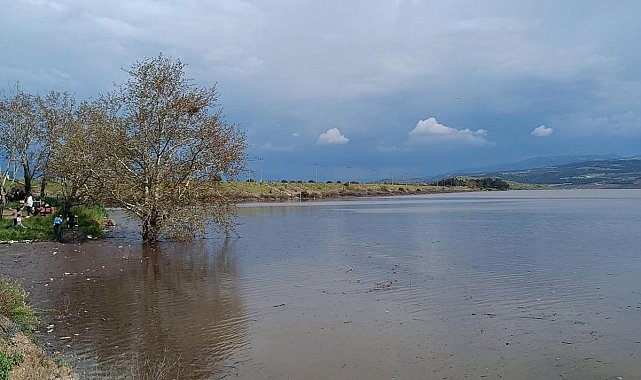Sarıgöl Ovası'nda su sevinci