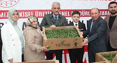 Sebze üretimi yapan çiftçilere fide dağıtıldı