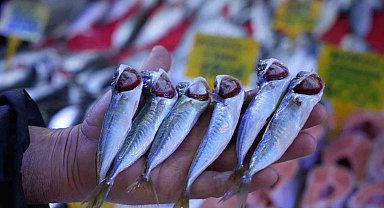 Sezonun sonuna gelinirken istavritin kilosu 70 TL'ye düştü