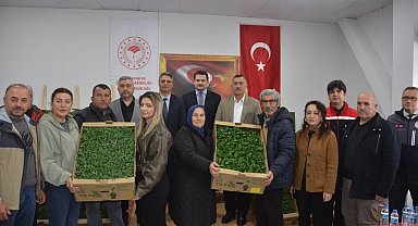 Sinop'ta 135 bin fide toprakla buluşuyor