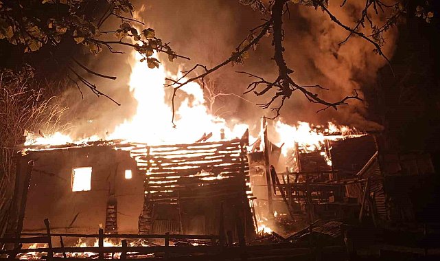 Sinop'ta yangın: 2 katlı ev, ahır, ambar kül oldu