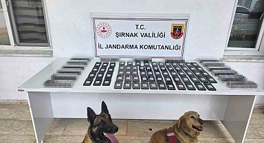Şırnak'ta jandarmadan asayiş, kaçakçılık ve narkotik operasyonu
