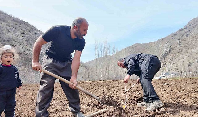 Şırnaklı çiftçi devlet desteğiyle bütün arazisine meyve fidanı dikti
