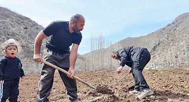 Şırnaklı çiftçi devlet desteğiyle bütün arazisine meyve fidanı dikti