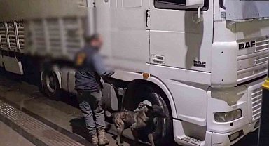 Sivas'ta 12 kilo uyuşturucu ele geçirildi: 2 tutuklama