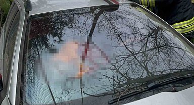 Tekirdağ'da şarampole uçan otomobilin sürücüsü hayatını kaybetti