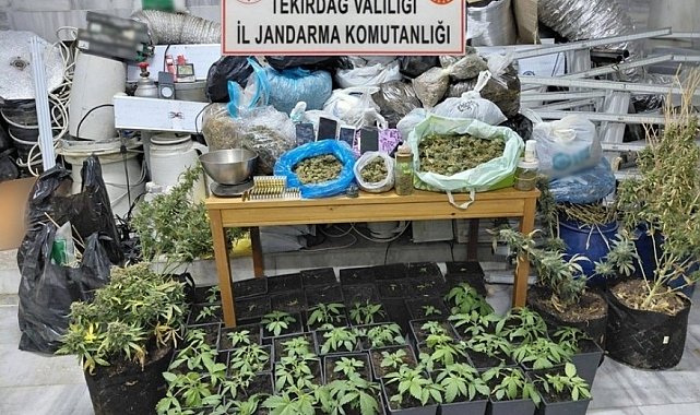 Tekirdağ'da uyuşturucu operasyonu: 1 tutuklama